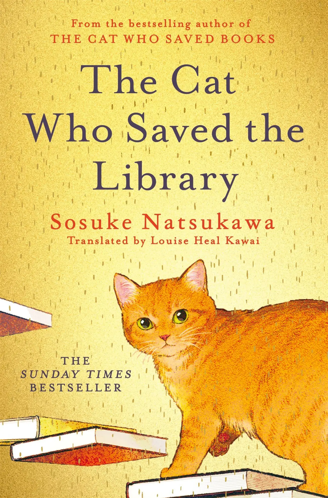 Cover: 9781035072651 | The Cat Who Saved the Library. Special Edition | Sosuke Natsukawa